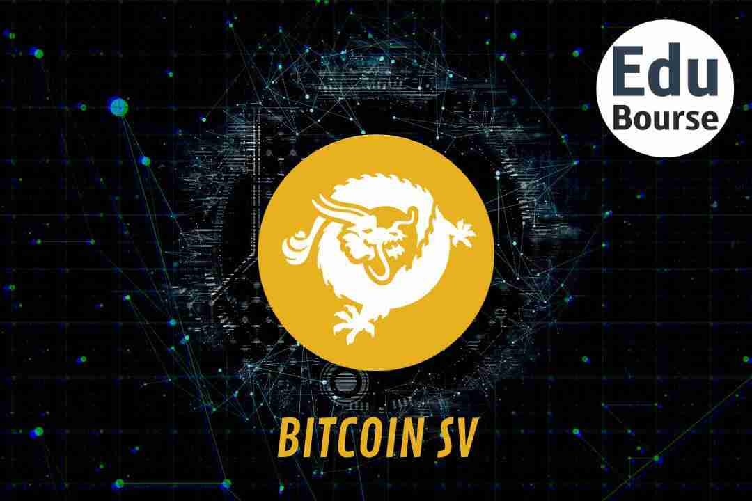 Bitcoin SV Crypto Avis